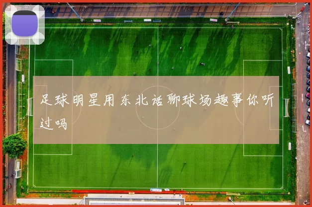 足球明星用东北话聊球场趣事你听过吗