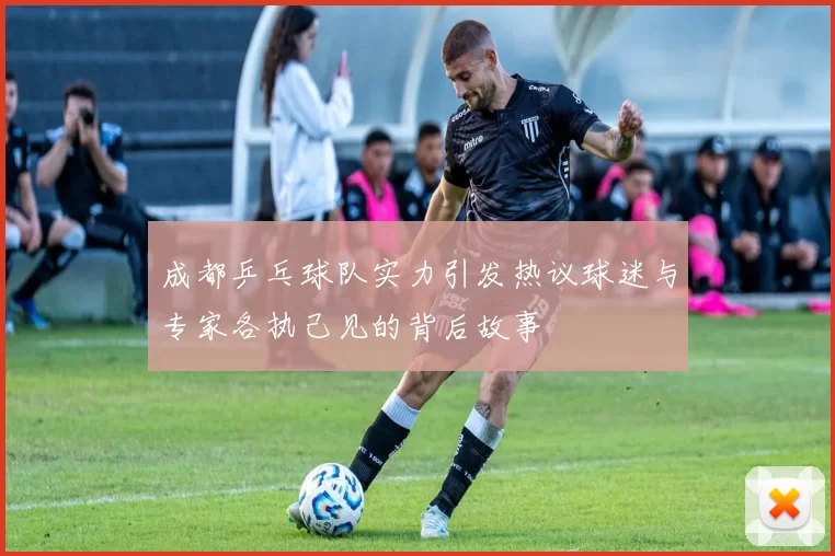 成都乒乓球队实力引发热议球迷与专家各执己见的背后故事