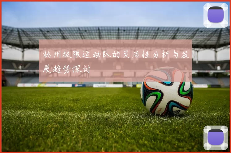 杭州极限运动队的灵活性分析与发展趋势探讨
