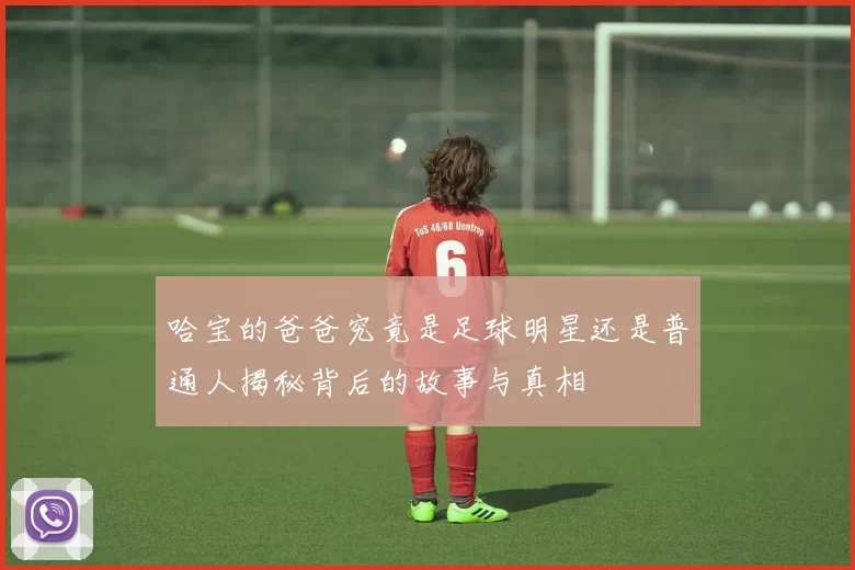 哈宝的爸爸究竟是足球明星还是普通人揭秘背后的故事与真相