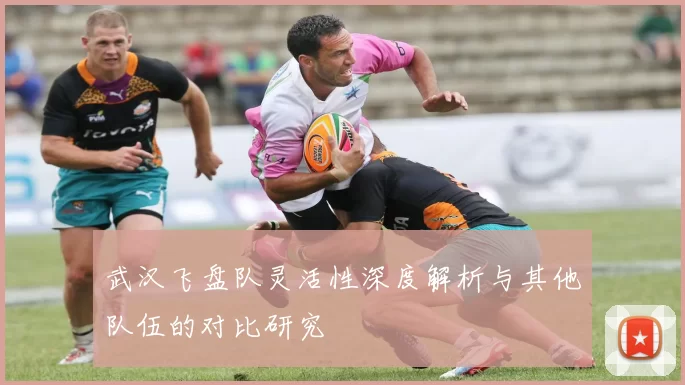 武汉飞盘队灵活性深度解析与其他队伍的对比研究
