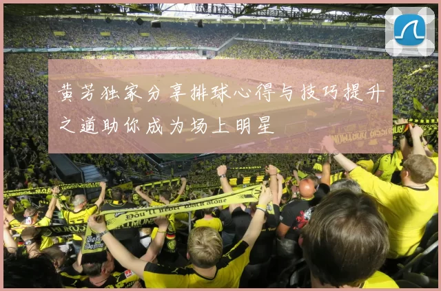 黄芳独家分享排球心得与技巧提升之道助你成为场上明星