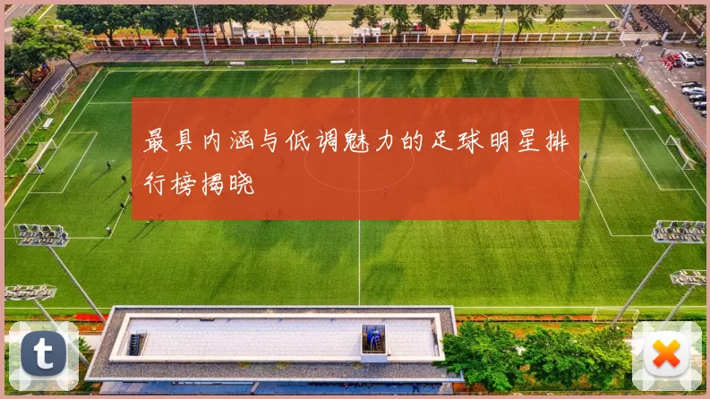最具内涵与低调魅力的足球明星排行榜揭晓