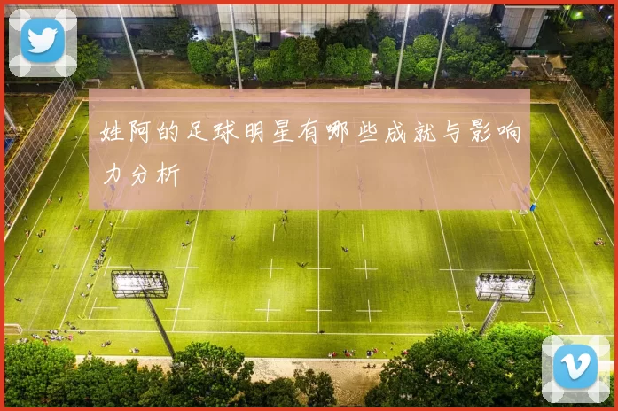 姓阿的足球明星有哪些成就与影响力分析