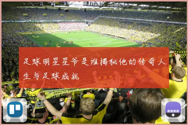 足球明星星爷是谁揭秘他的传奇人生与足球成就