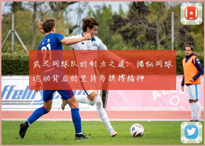 武汉网球队的耐力之道：揭秘网球运动背后的坚持与拼搏精神