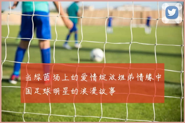 当绿茵场上的爱情绽放姐弟情缘中国足球明星的浪漫故事