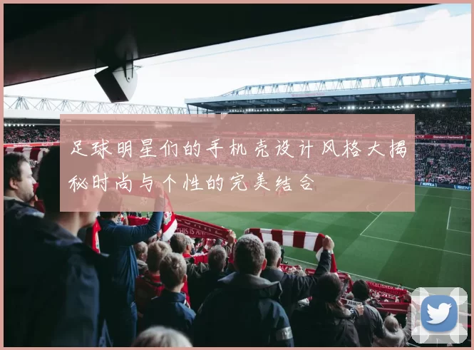 足球明星们的手机壳设计风格大揭秘时尚与个性的完美结合