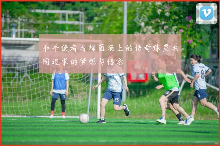 和平使者与绿茵场上的传奇球星共同追求的梦想与信念