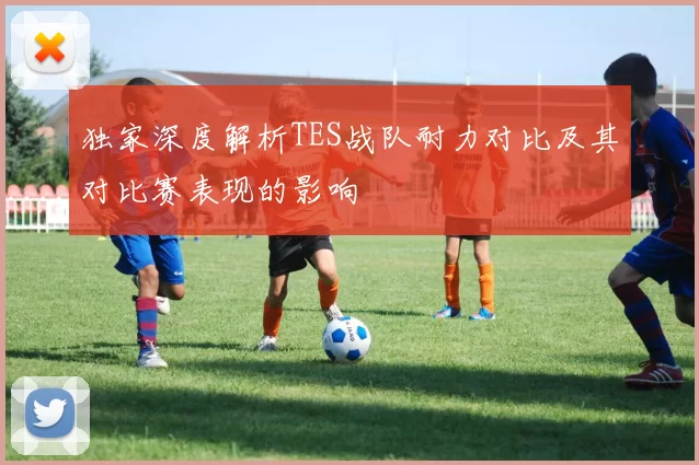 独家深度解析TES战队耐力对比及其对比赛表现的影响