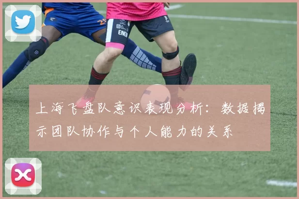 上海飞盘队意识表现分析：数据揭示团队协作与个人能力的关系