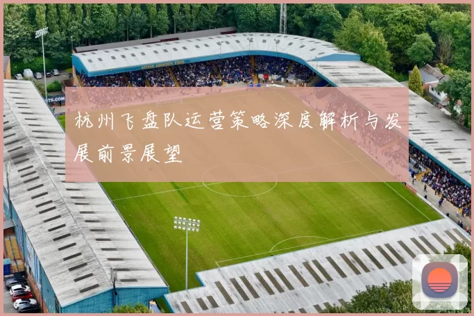 杭州飞盘队运营策略深度解析与发展前景展望
