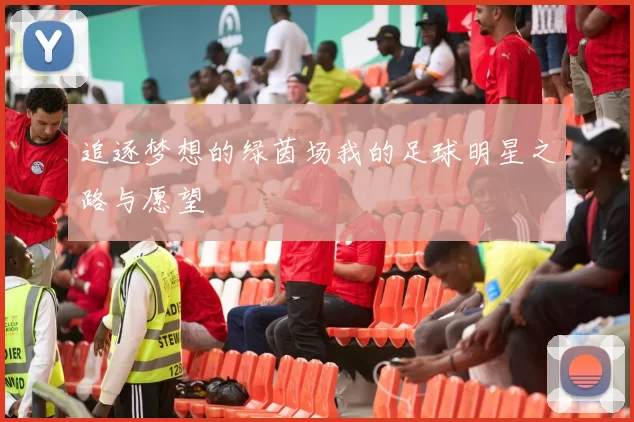 追逐梦想的绿茵场我的足球明星之路与愿望