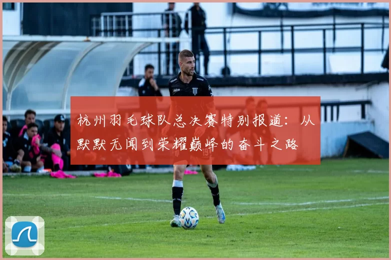 杭州羽毛球队总决赛特别报道：从默默无闻到荣耀巅峰的奋斗之路
