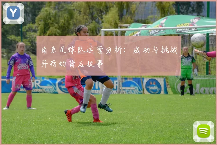 南京足球队运营分析：成功与挑战并存的背后故事