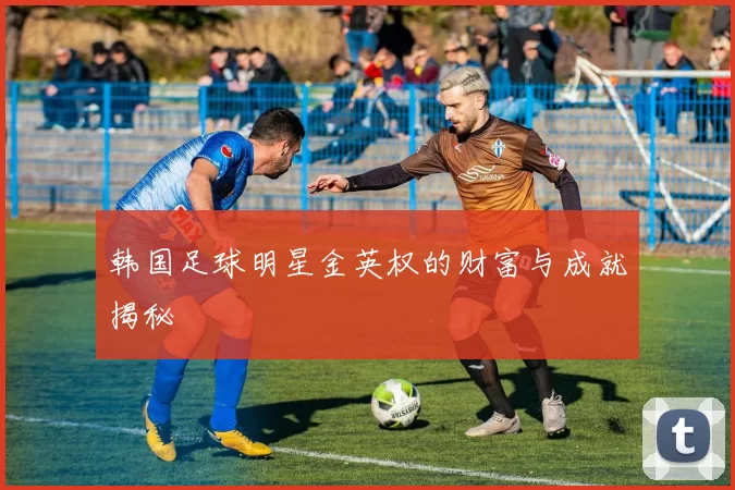 韩国足球明星金英权的财富与成就揭秘