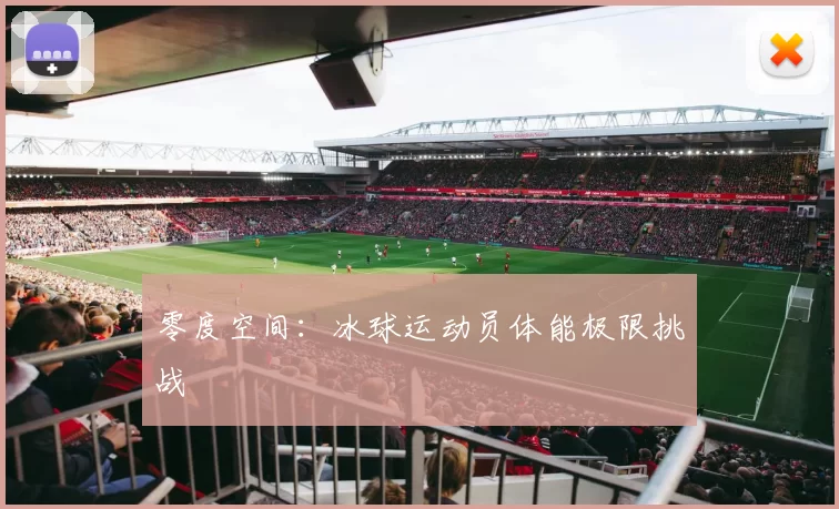 零度空间：冰球运动员体能极限挑战