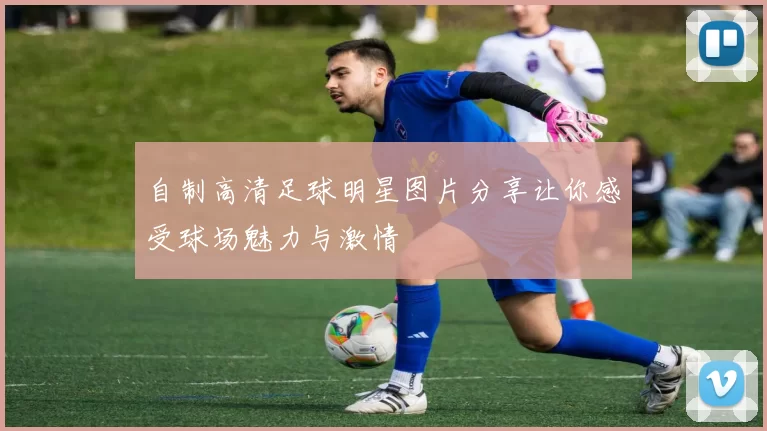 自制高清足球明星图片分享让你感受球场魅力与激情