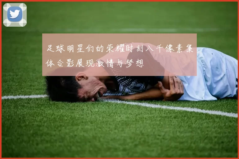 足球明星们的荣耀时刻八千像素集体合影展现激情与梦想