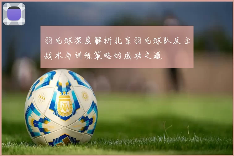 羽毛球深度解析北京羽毛球队反击战术与训练策略的成功之道